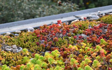 the cost of Panfield green roof installation