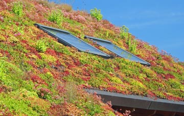 Panfield living roof systems
